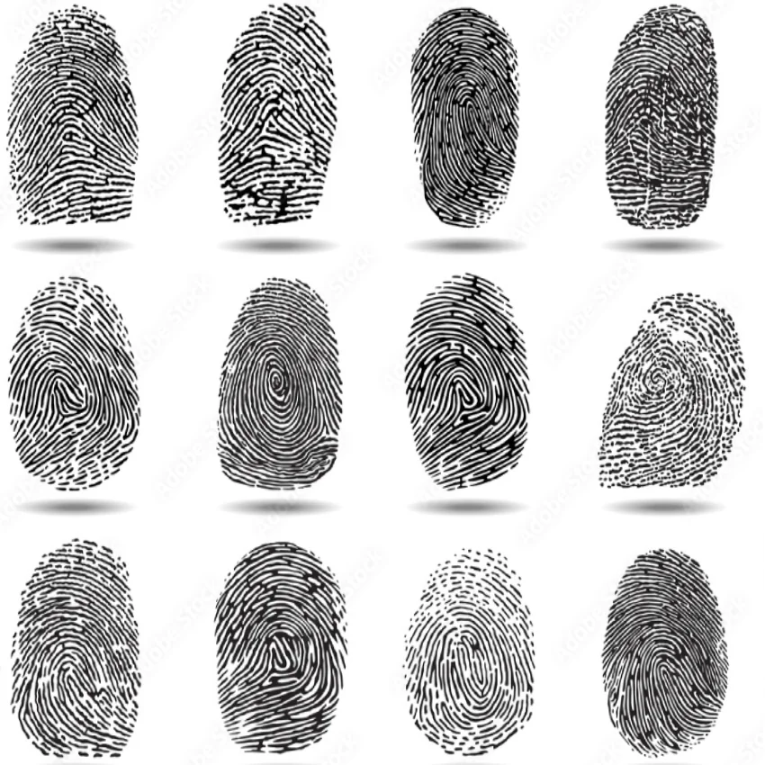 Rows of inked fingerprint impressions